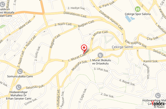 Anemon bursa harita, map