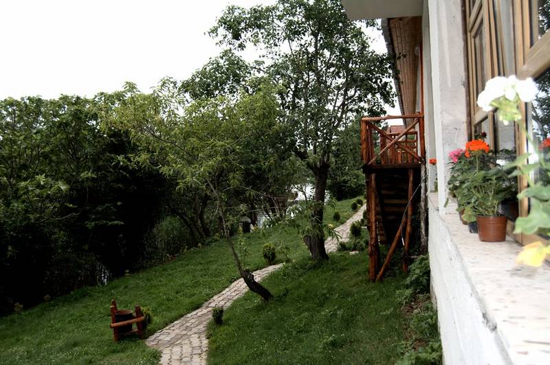 Ava Masal Evi