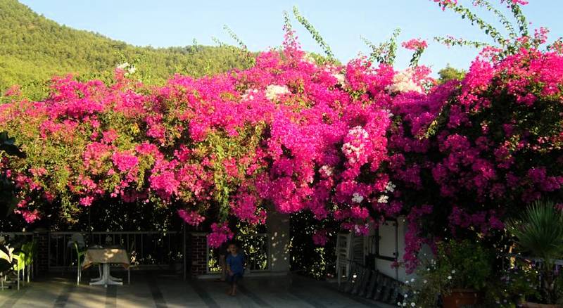 Akdeniz Hotel Ekincik