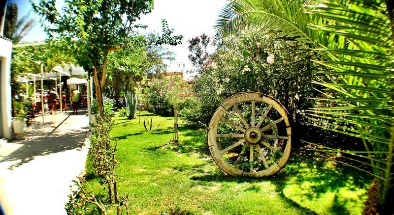 Seda Hotel Arinna Prices Reviews Gumbet Turkey Tripadvisor