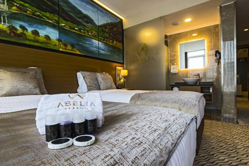 Aselia Hotel