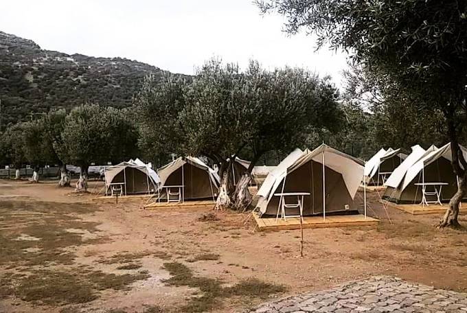 Assos Kamp Olive