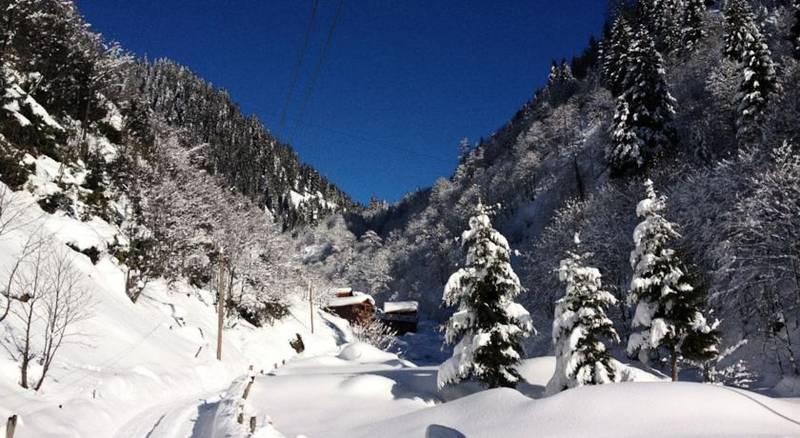 Ayder Elizan Otel