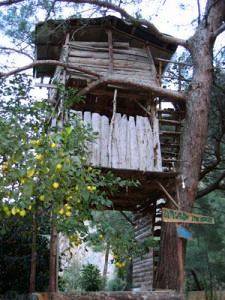 Bayrams Tree Houses