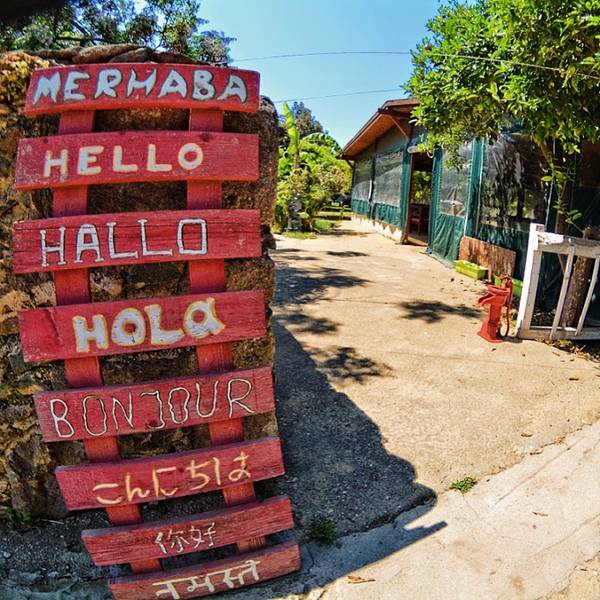 Bodrum Ecofarm Kamp & Hostel