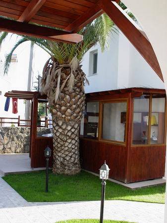 Bodrum Palm Otel