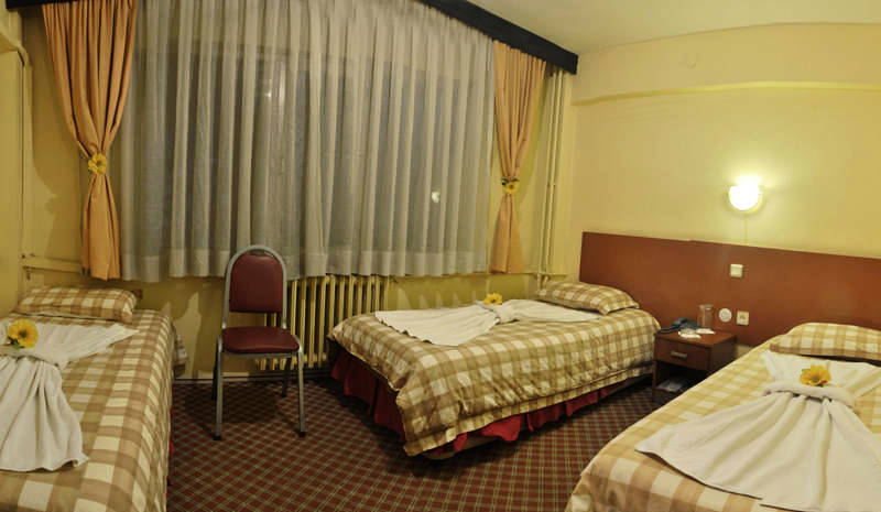 Hotel Gold Termal