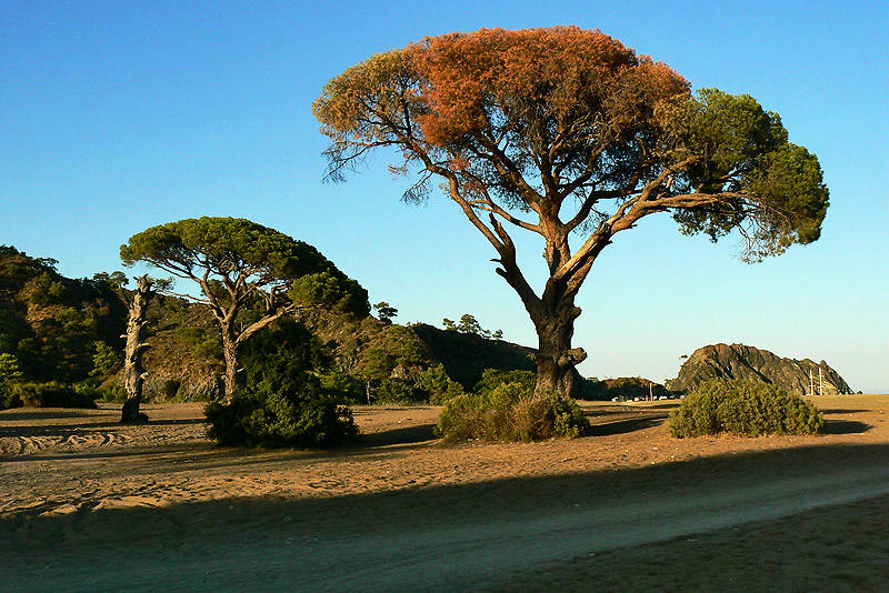 ral Almera Bungalow