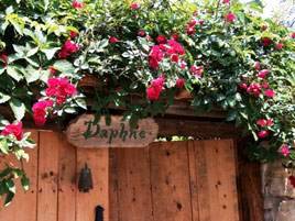 Daphne Tatil Evi