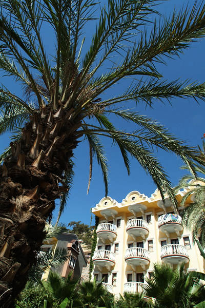 Flamingo Hotel ldeniz