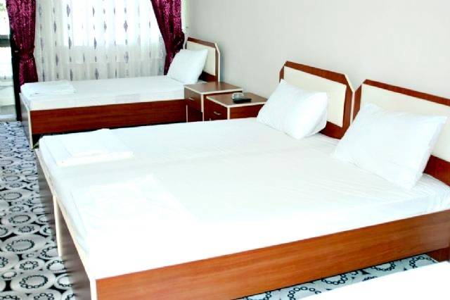 Hotel Edessa City