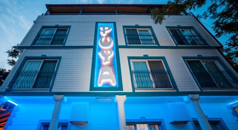 Hotel Puya