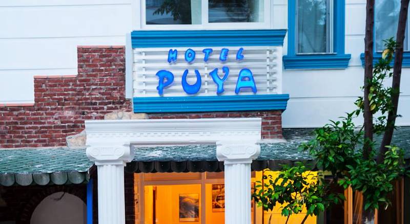 Hotel Puya