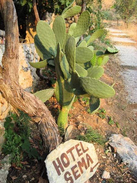 Hotel Sema Patara