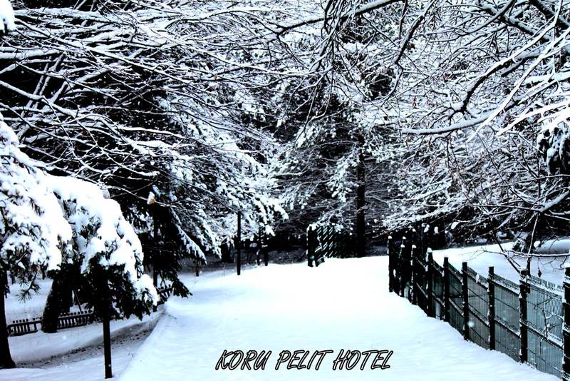 Koru Pelit Hotel