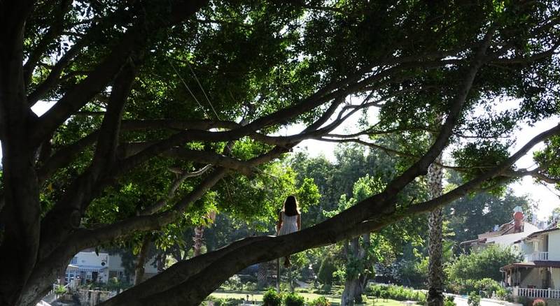 Marvel Tree Hotel