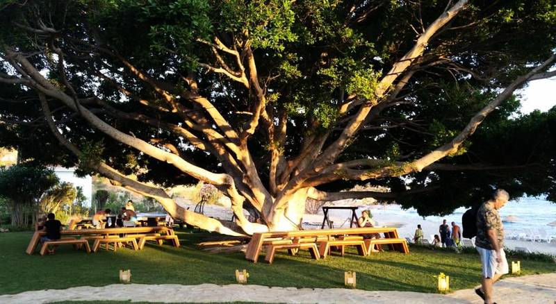 Marvel Tree Hotel