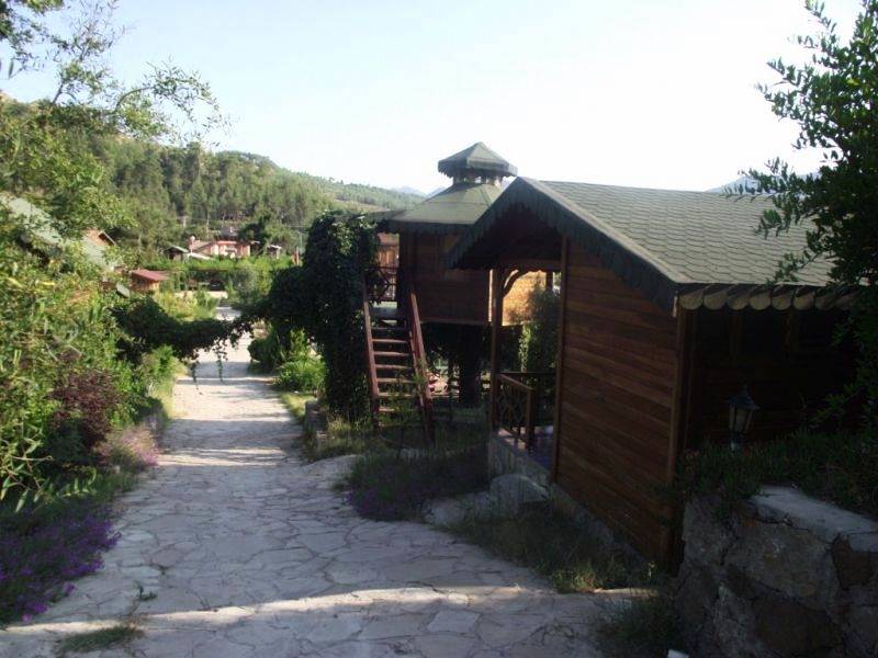 Olympos Daisy Butik Otel