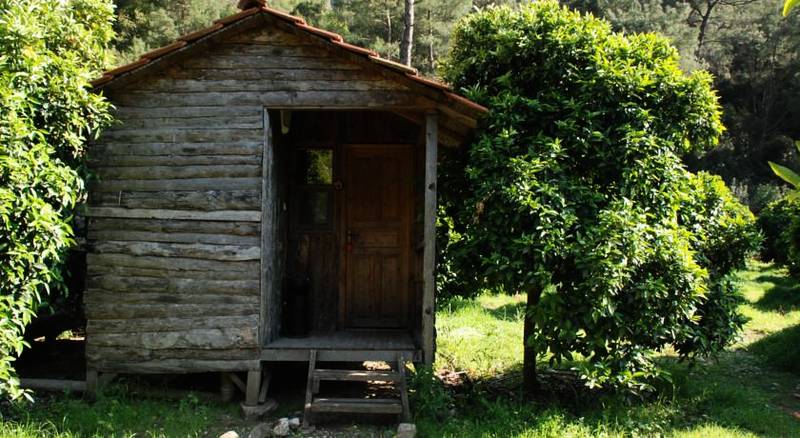 Olympos Deep Green Bungalows