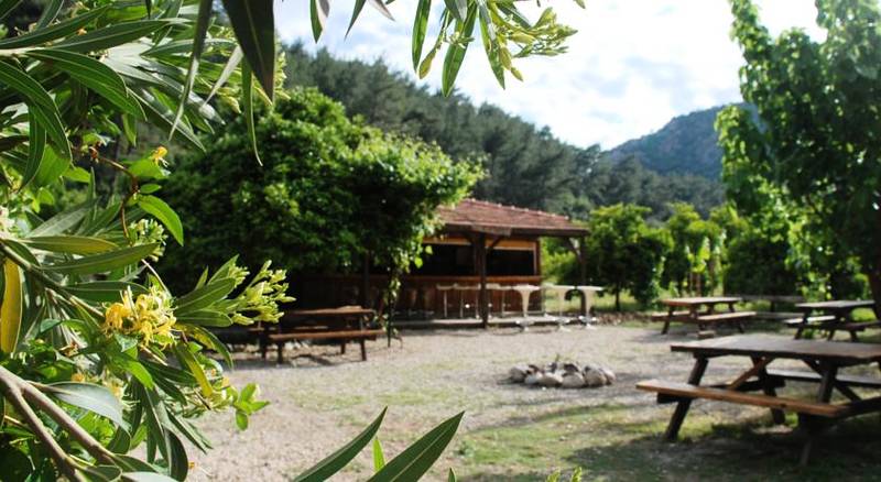 Olympos Deep Green Bungalows