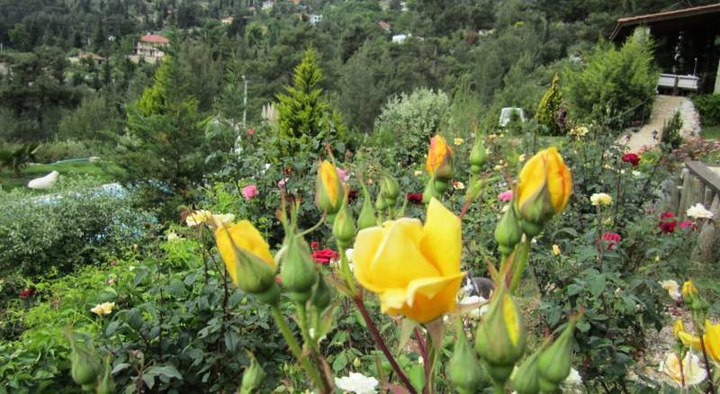 Olympos Mountain Lodge