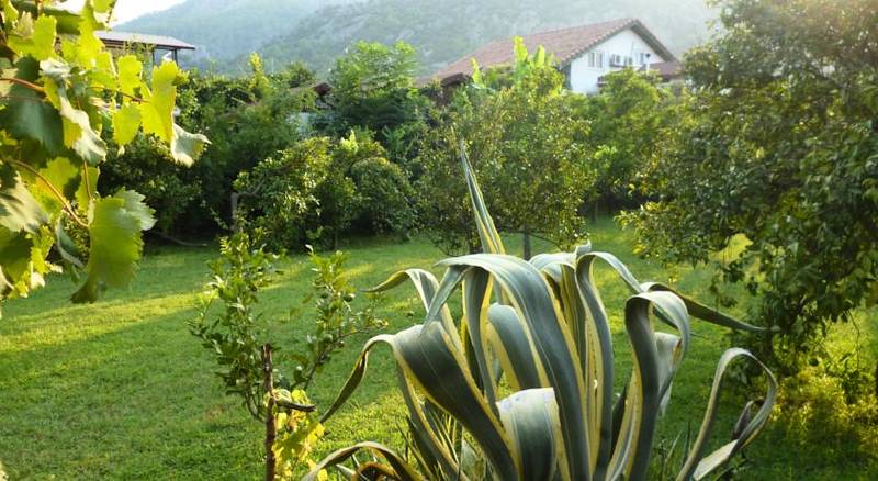 Olympos Oase