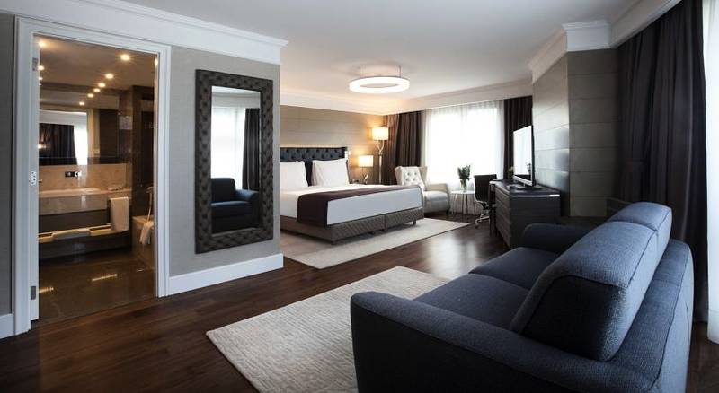 Radisson Blu Hotel stanbul ili