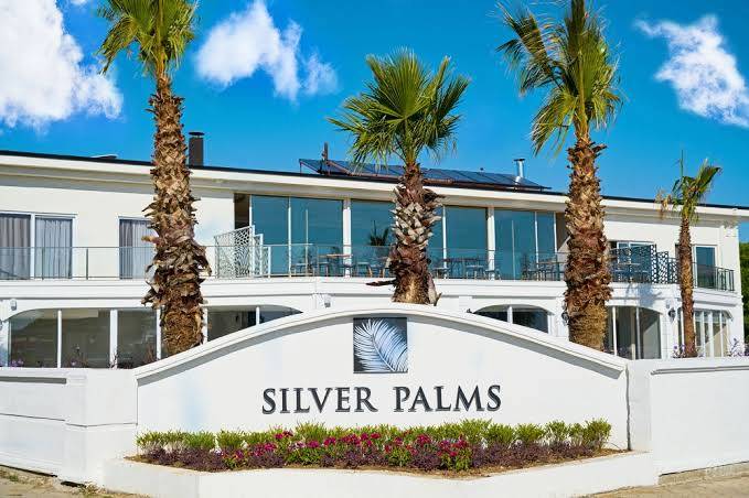 Silver Palms