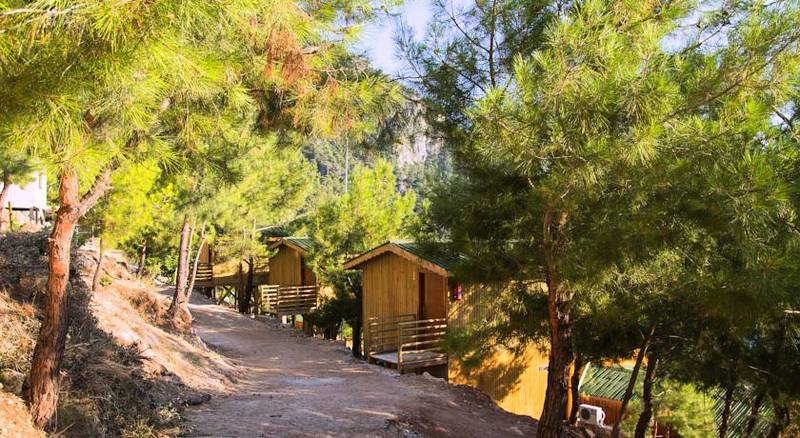 Tree Houses Kabak