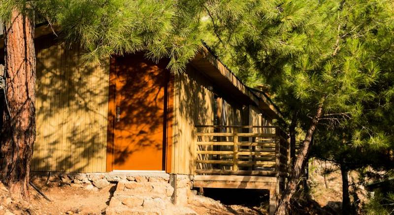 Tree Houses Kabak