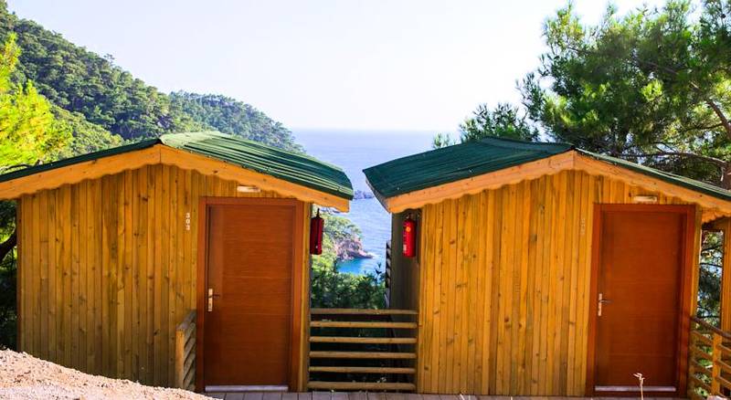 Tree Houses Kabak