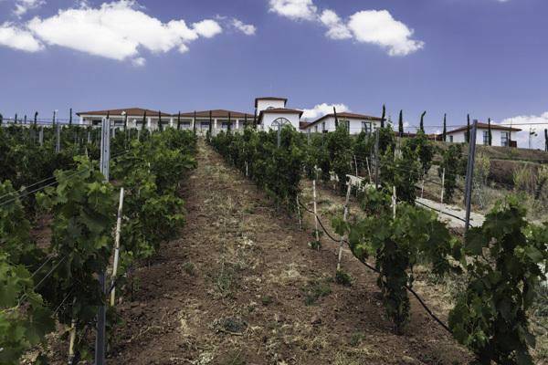 Anemon Villa Estet