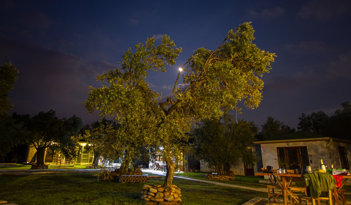 Yiva Otel Kazdalar