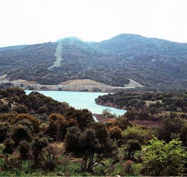 Zeytindal Hotel