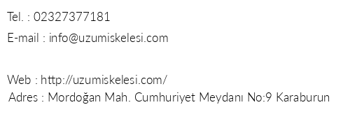 zm skelesi Butik Otel telefon numaralar, faks, e-mail, posta adresi ve iletiim bilgileri